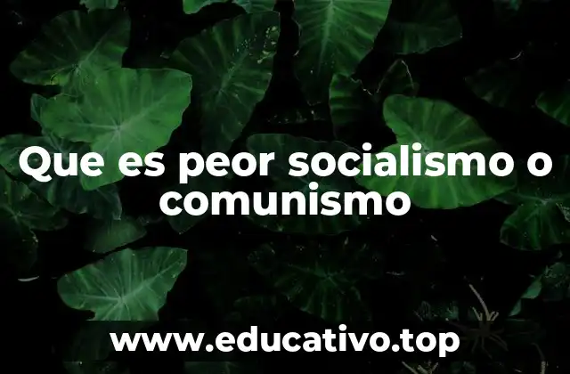 Que es peor socialismo o comunismo