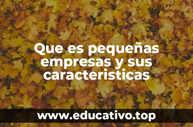 Que es pequeñas empresas y sus caracteristicas