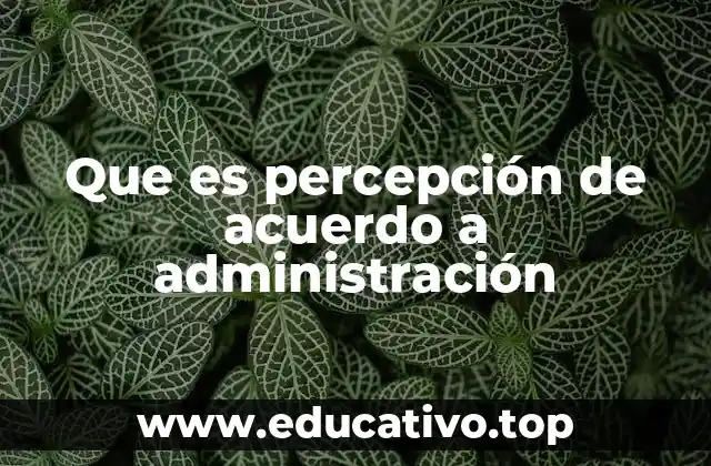 Que es percepción de acuerdo a administración