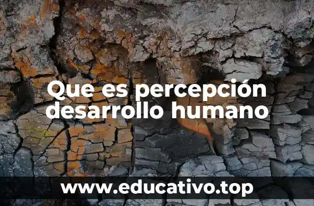 Que es percepción desarrollo humano
