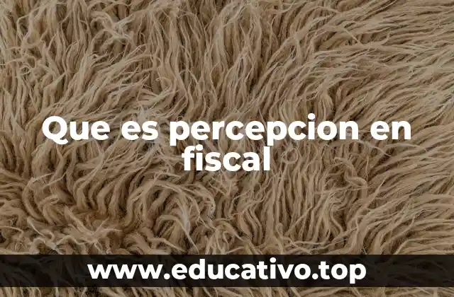 Que es percepcion en fiscal