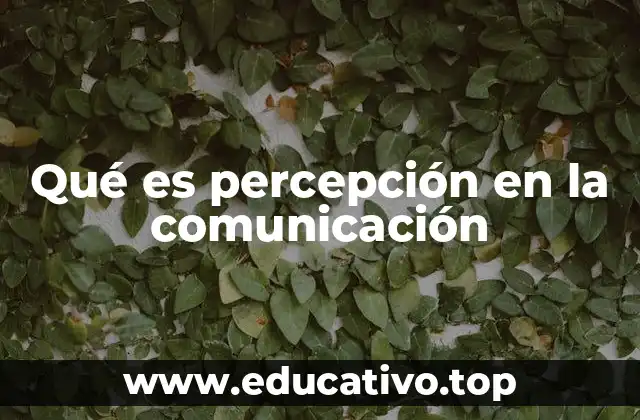 La percepción como filtro en la interpretación de mensajes