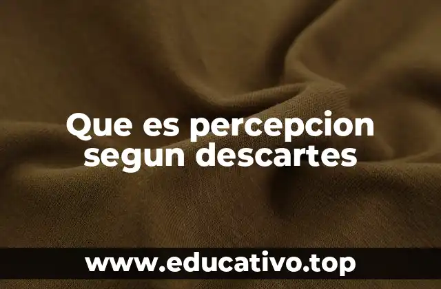 Que es percepcion segun descartes