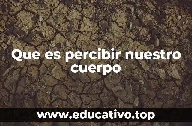Que es percibir nuestro cuerpo
