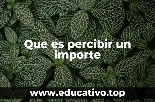 Que es percibir un importe