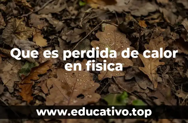 Que es perdida de calor en fisica