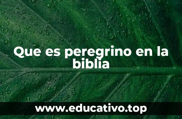La vida de los peregrinos en el Antiguo Testamento