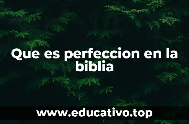 Que es perfeccion en la biblia
