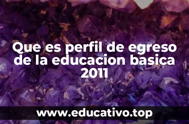 Que es perfil de egreso de la educacion basica 2011