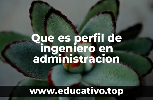 Que es perfil de ingeniero en administracion