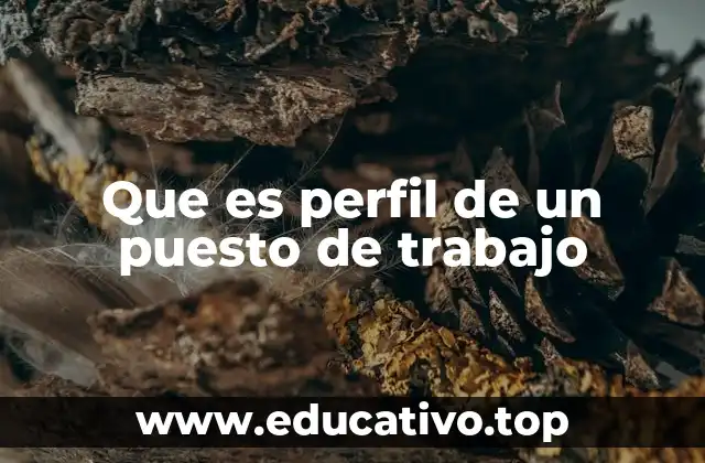 Que es perfil de un puesto de trabajo
