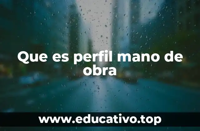 Que es perfil mano de obra