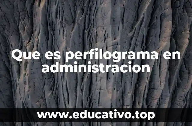Que es perfilograma en administracion