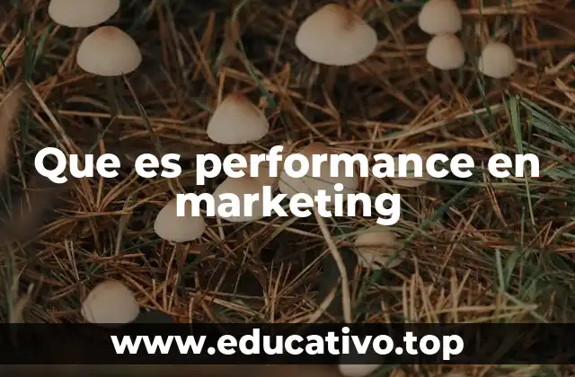 Que es performance en marketing