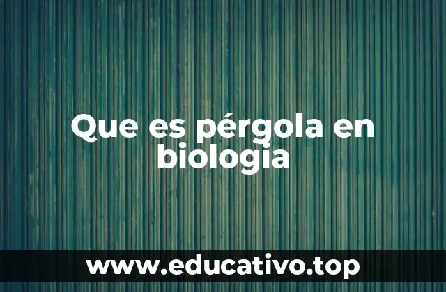 Pérgola: un término confuso en el lenguaje biológico