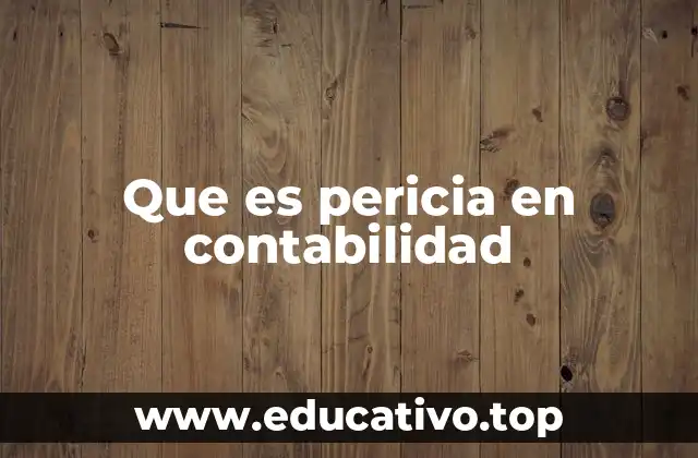 Que es pericia en contabilidad