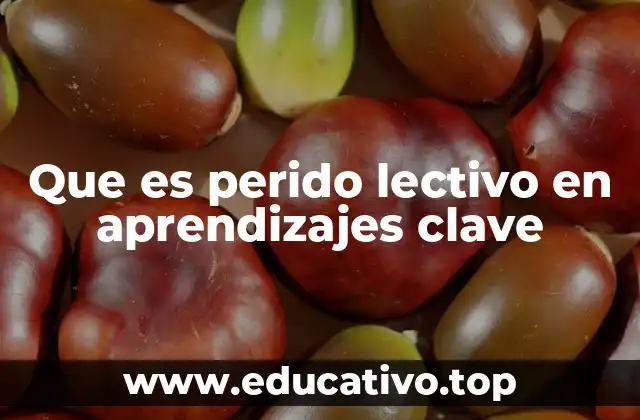 Que es perido lectivo en aprendizajes clave