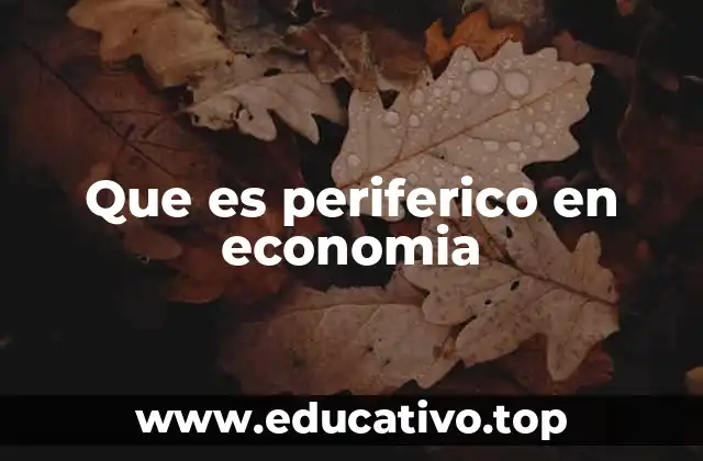 Que es periferico en economia