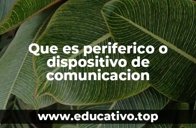 Los componentes esenciales para la interacción con la computadora