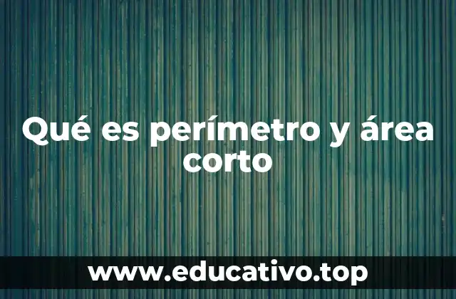 Qué es perímetro y área corto