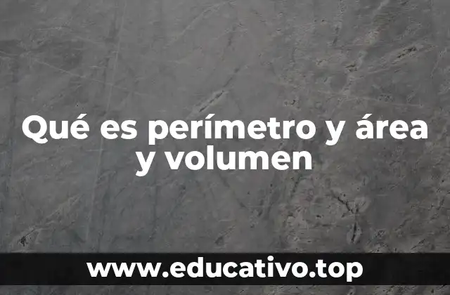 Qué es perímetro y área y volumen