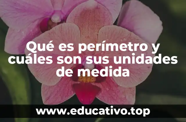 Qué es perímetro y cuáles son sus unidades de medida