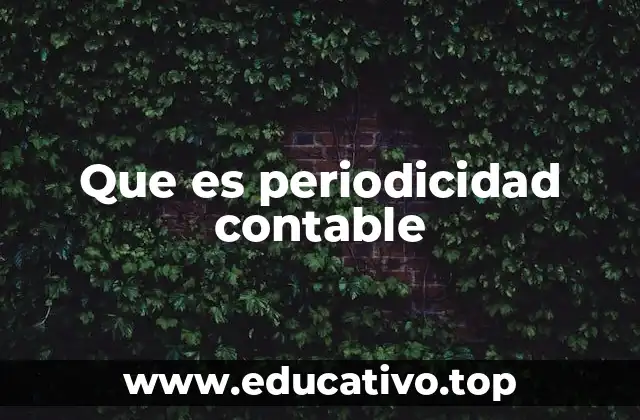 Que es periodicidad contable