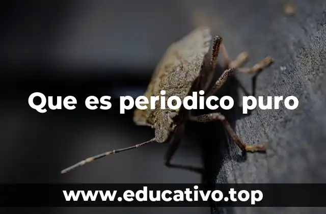 Que es periodico puro