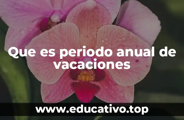Que es periodo anual de vacaciones