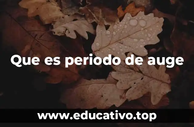 Que es periodo de auge