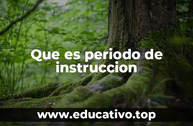 Que es periodo de instruccion