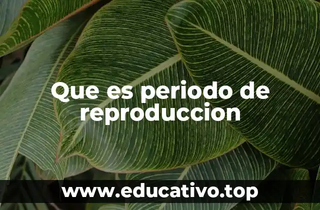 Que es periodo de reproduccion