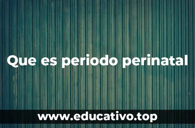 Que es periodo perinatal