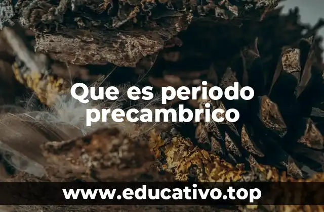 Que es periodo precambrico