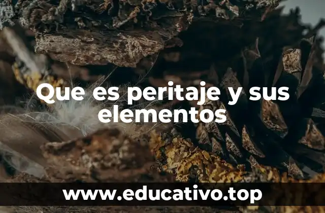 Que es peritaje y sus elementos