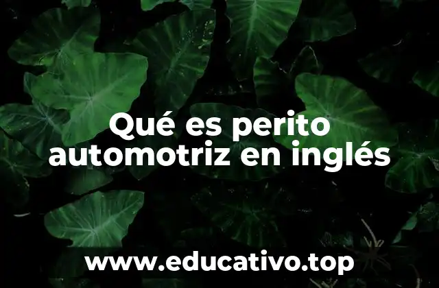 Qué es perito automotriz en inglés