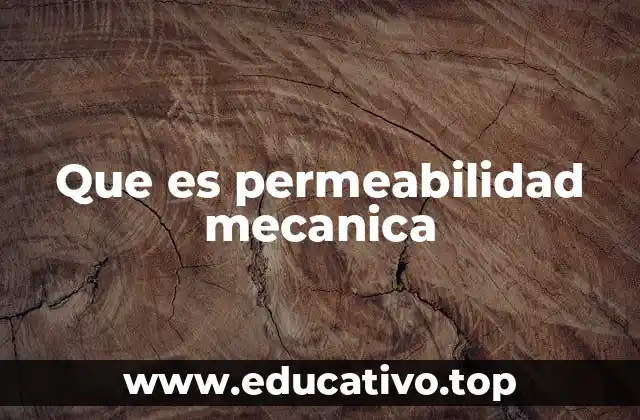 Que es permeabilidad mecanica