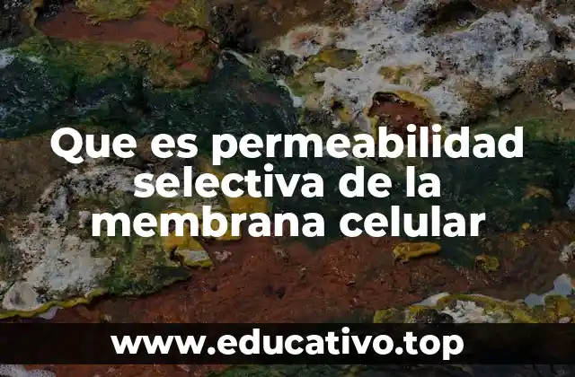 Que es permeabilidad selectiva de la membrana celular
