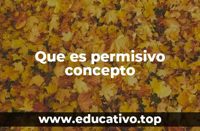 Que es permisivo concepto