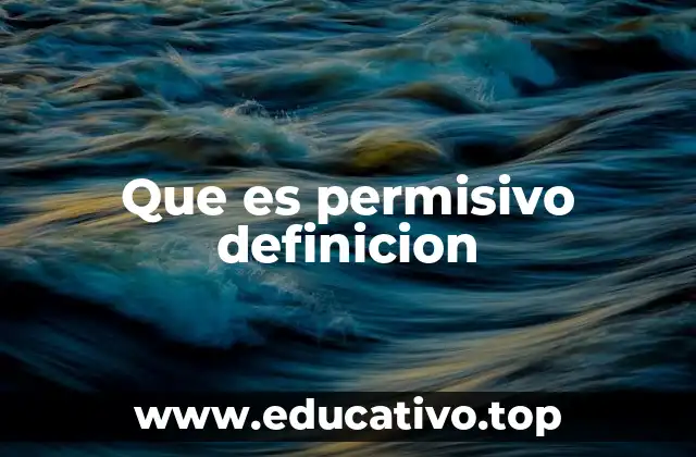 Que es permisivo definicion