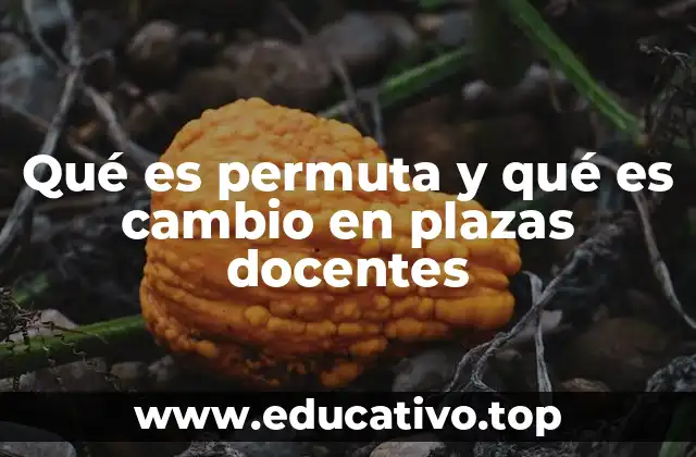 Qué es permuta y qué es cambio en plazas docentes