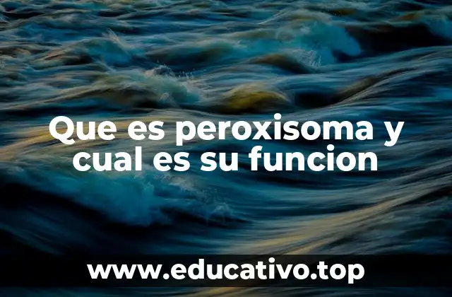 Que es peroxisoma y cual es su funcion
