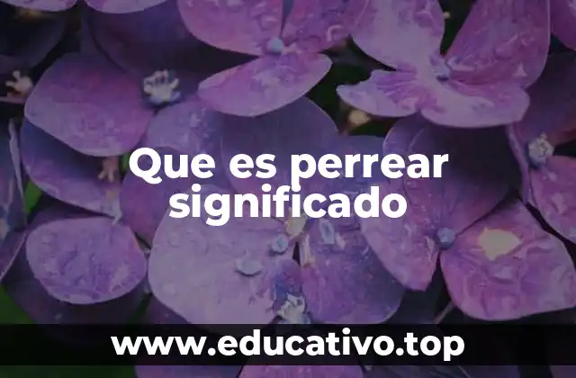 Que es perrear significado