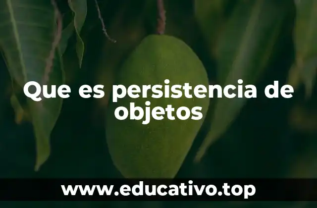 La importancia de la persistencia en el desarrollo moderno