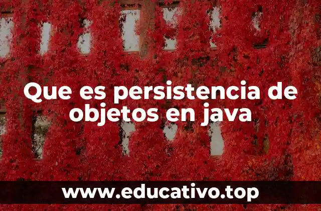 Que es persistencia de objetos en java