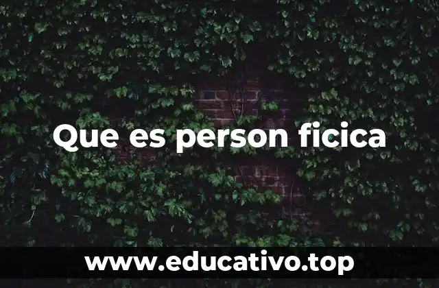 Que es person ficica