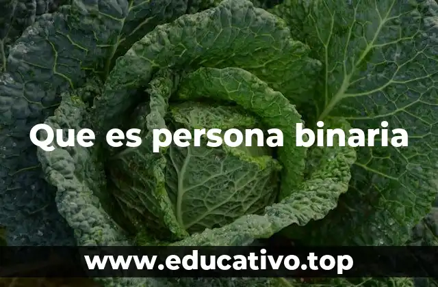Que es persona binaria