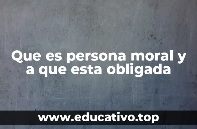 Que es persona moral y a que esta obligada