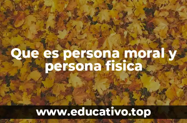 Que es persona moral y persona fisica
