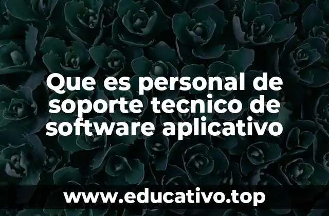 Que es personal de soporte tecnico de software aplicativo